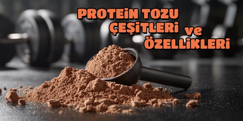 Protein Tozu Çeşitleri ve Özellikleri